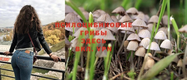 дурь Семёнов