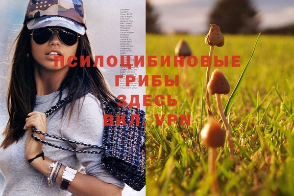 мдпв Белокуриха