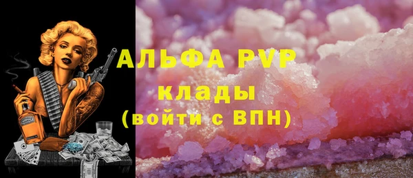 СК Балахна